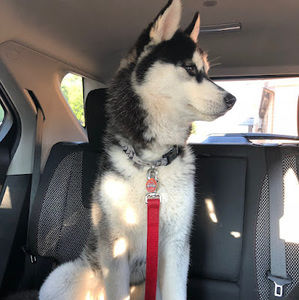 Meet your Posher, Bryan